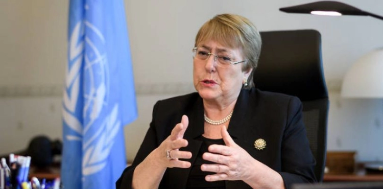 Human Rights Commissioner criticizes &quot;Israel&quot; and its devastating impact on Palestinian rights