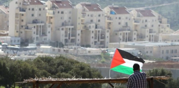 The Israeli Occupation grants a settlement organization 550 dunums of Jerusalem land