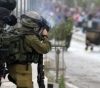71 injured by Israeli occupation last week