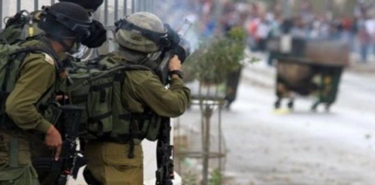71 injured by Israeli occupation last week