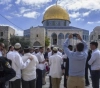 42 settlers enter the courtyards of Al-Aqsa Mosque