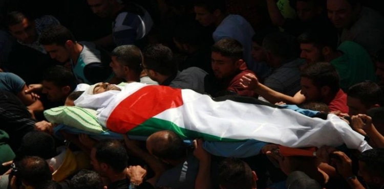 A martyr and 93 injured in 61 contact points last week.