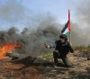 Harvest of the Week: Martyr &quot;Prisoner&quot;, 75 Palestinians injured in 69 confrontations