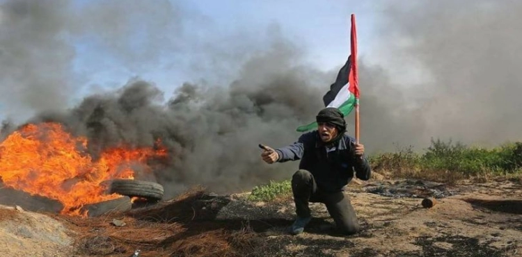 Harvest of the Week: Martyr "Prisoner", 75 Palestinians injured in 69 confrontations