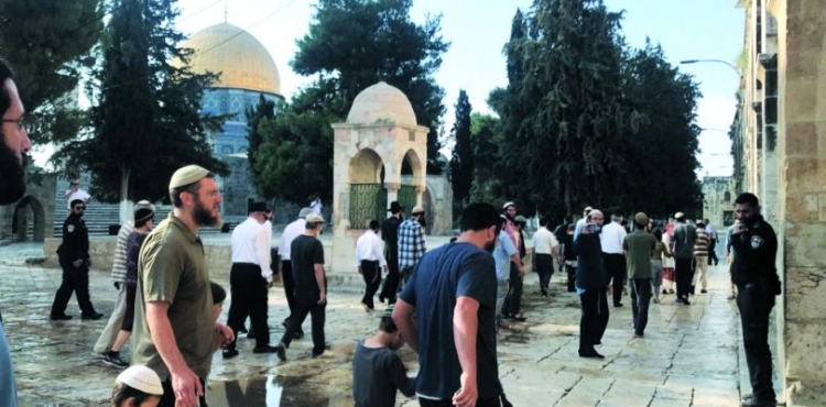 75 &quot;Israeli&quot; storming the courtyards of al-Aqsa Mosque