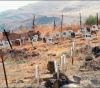 &quot;Israel&quot; continues to detain the bodies of 298 Palestinian martyrs