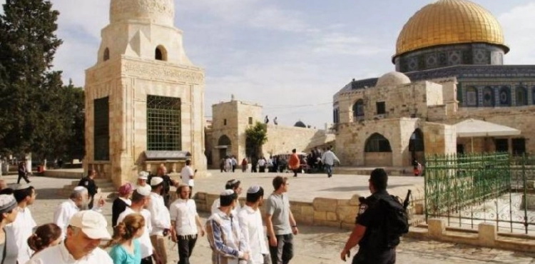 144 &quot;Israeli&quot; storming the courtyards of the Al-Aqsa Mosque