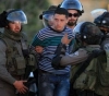 Prisoners of Palestine: a martyr and 360 arrests in November