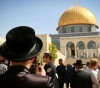 39 &quot;Israeli&quot; storming the courtyards of al-Aqsa Mosque