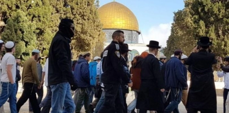 Dozens of settlers storm the courtyards of Al-Aqsa Mosque