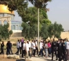 79 Israelis break into al-Aqsa Mosque courtyards with &acute;morning period&acute;.