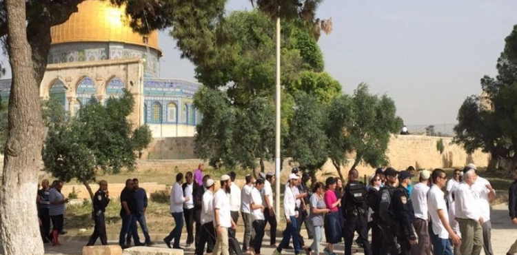 79 Israelis break into al-Aqsa Mosque courtyards with &acute;morning period&acute;.