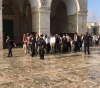 52 settlers storm the courtyards of al-Aqsa Mosque