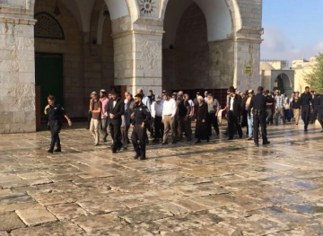 52 settlers storm the courtyards of al-Aqsa Mosque
