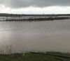 Occupation floods agricultural land with rainwater east of Gaza