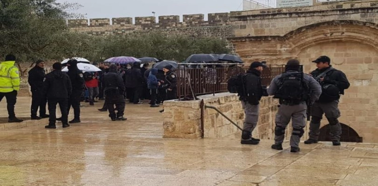 39 settlers desecrate the courtyards of Al-Aqsa Mosque