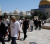 51 Israelis desecrate the courtyards of Al-Aqsa Mosque