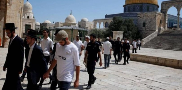 51 Israelis desecrate the courtyards of Al-Aqsa Mosque