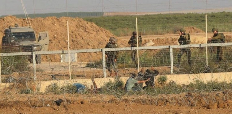 Israeli occupation has arrested 14 Palestinians on the Gaza border since the beginning of 2020