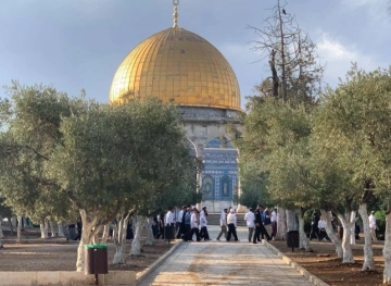 About 126 settlers storm Al-Aqsa Mosque