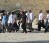 More than 100 settlers storm Al-Aqsa