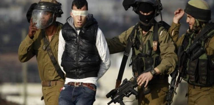 The occupation forces arrested 7 Palestinians from the West Bank