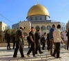 A new incursion into Al-Aqsa by settlers
