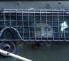 The occupation is holding 36 female prisoners in &quot;Damon&quot; detention center, among them are wounded