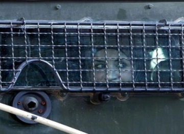 The occupation is holding 36 female prisoners in &quot;Damon&quot; detention center, among them are wounded