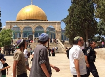 33 settlers stormed Al-Aqsa in two periods