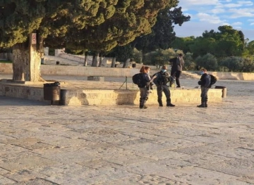 Dozens of settlers storm the &quot;Al-Aqsa&quot; again, under the protection of the Israeli police