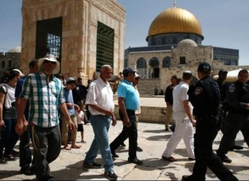 Dozens of settlers storm Al-Aqsa