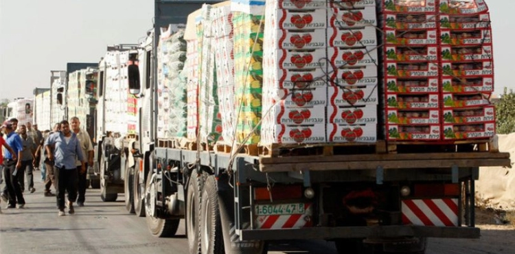 â€œAgricultureâ€ Gaza: $16 million in losses due to the occupationâ€™s prevention of agricultural exports