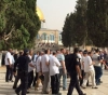 52 settlers storm the courtyards of &quot;Al-Aqsa&quot; under the guard of the occupation security