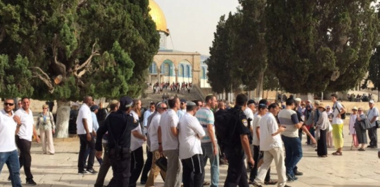 52 settlers storm the courtyards of &quot;Al-Aqsa&quot; under the guard of the occupation security