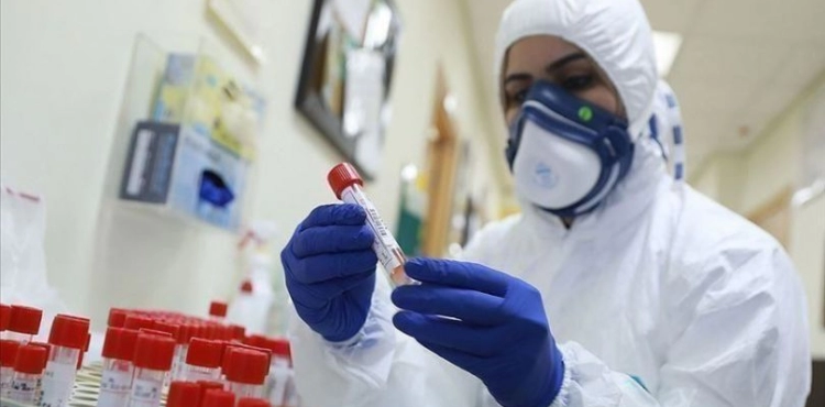 The Palestinian Ministry of Health records two deaths and 246 new cases of â€œCoronaâ€