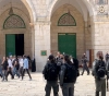 230 settlers storm Al-Aqsa and carry out provocative tours