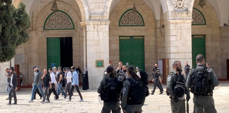 230 settlers storm Al-Aqsa and carry out provocative tours