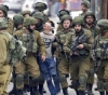 The United Nations condemns the Israeli armyâ€™s harassment of a human rights organization in Palestine