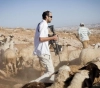 Settlers prevent shepherds from watering their livestock in Ain al-Hilweh in the northern Jordan Valley