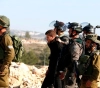West Bank: Occupation arrests 11 civilians