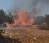 Settlers set fire to dozens of olive trees south of Nablus