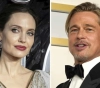 Angelina Jolie wins her legal battle against Brad Pitt