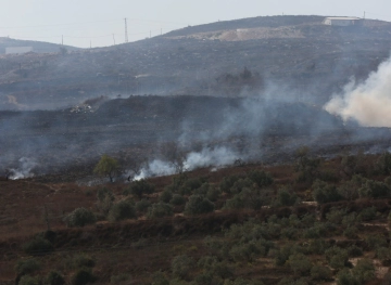 Settlers burn dozens of fig and olive seedlings, and the occupation suppresses a march condemning the settlements west of Salfit