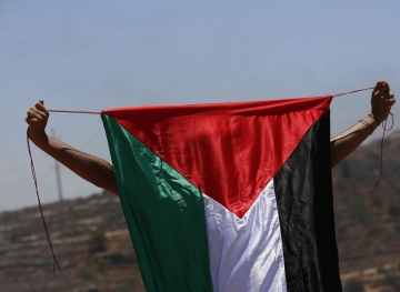 Occupation forces remove Palestinian flags in Shufa village