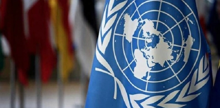 UN rapporteurs call on Israel to stop harassing aid workers and activists in the West Bank