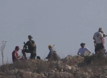 Settlers exploit Corona and drown land with wastewater