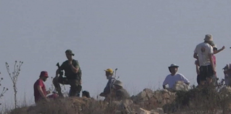Settlers exploit Corona and drown land with wastewater