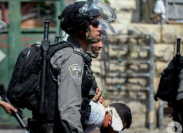 The occupation arrests a young man in Sheikh Jarrah neighborhood