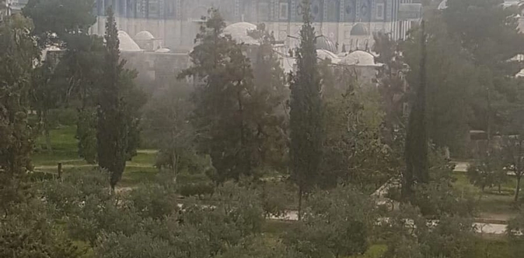 The occupation closes the gates of al-Aqsa after a fire broke out in a police station